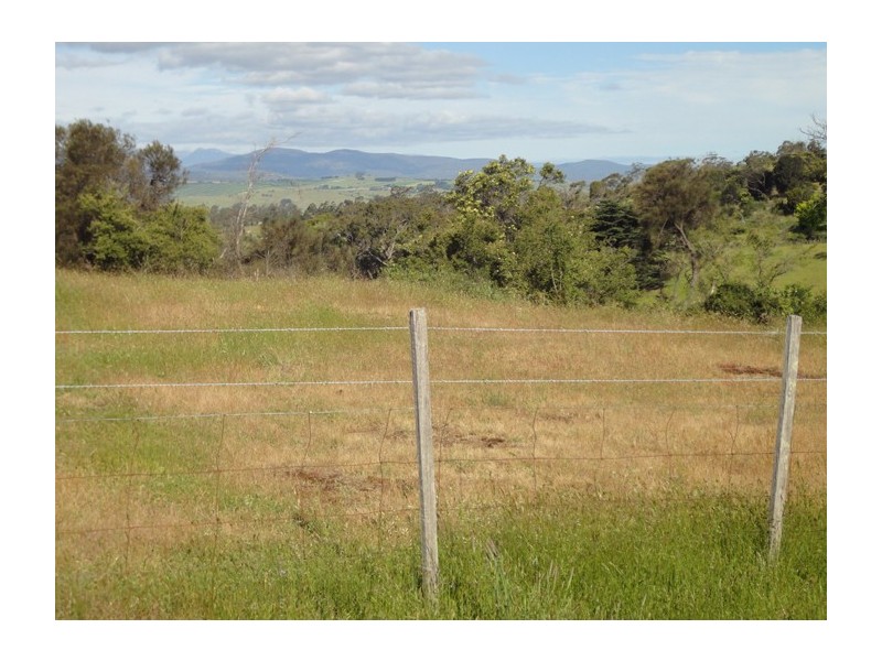 517 Hobart Road, Youngtown TAS 7249