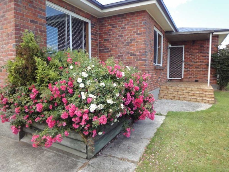 146 Alanvale Road, Newnham TAS 7248