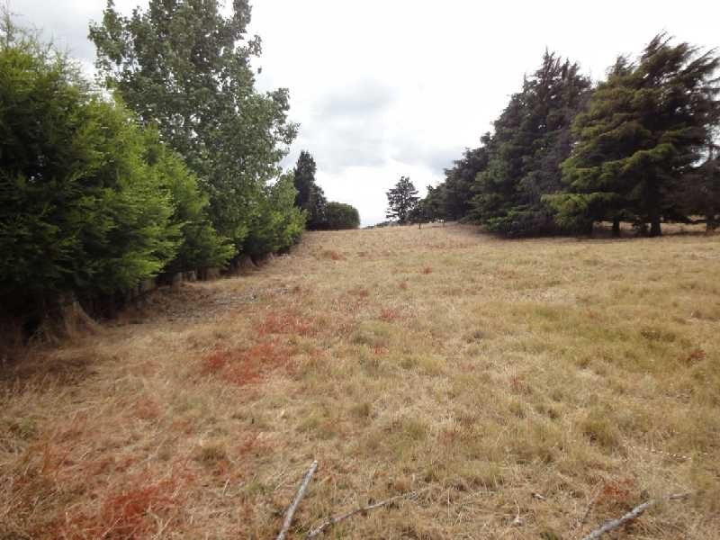 St Leonards TAS 7250