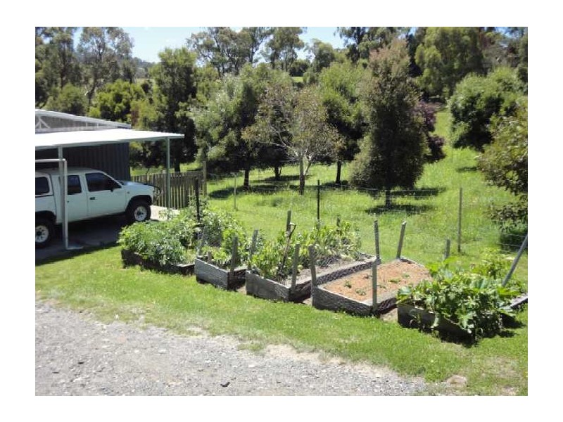 104 Jetty Road, Hillwood TAS 7252