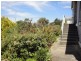 441 West Tamar Highway, Riverside TAS 7250