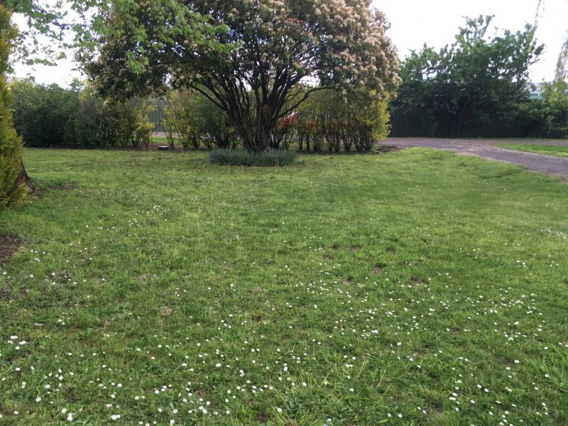 7 Jocelyn Street, Hagley TAS 7292