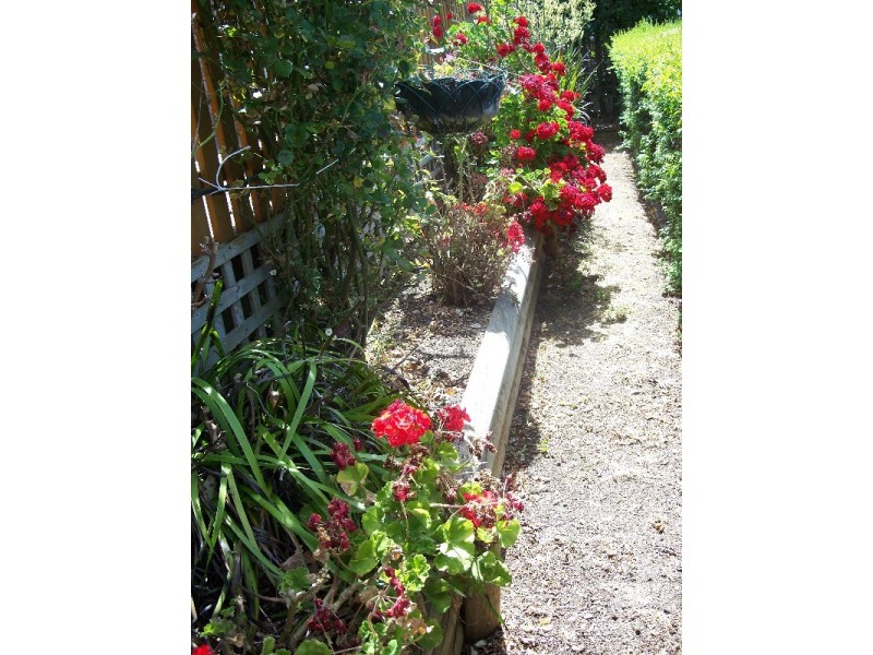 2/2 Andrea Place, Riverside TAS 7250