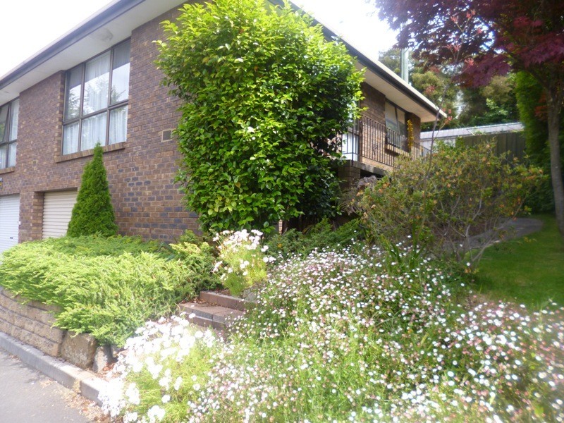 3/345 Upper Brisbane Street, Launceston TAS 7250