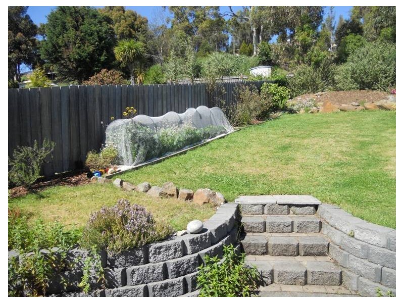 23 Pitt Avenue, Trevallyn TAS 7250