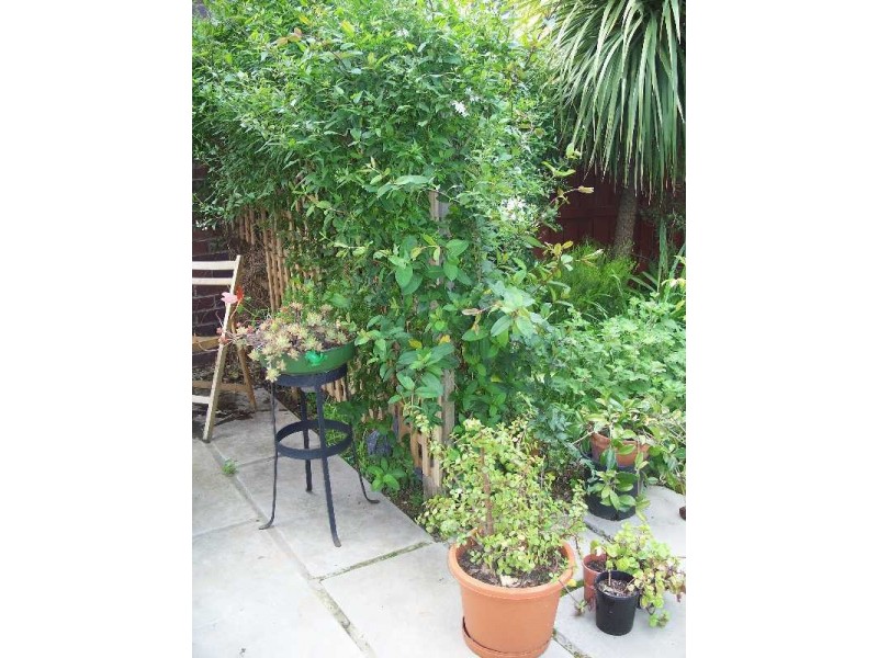 1b 276 Invermay Road, Mowbray TAS 7248