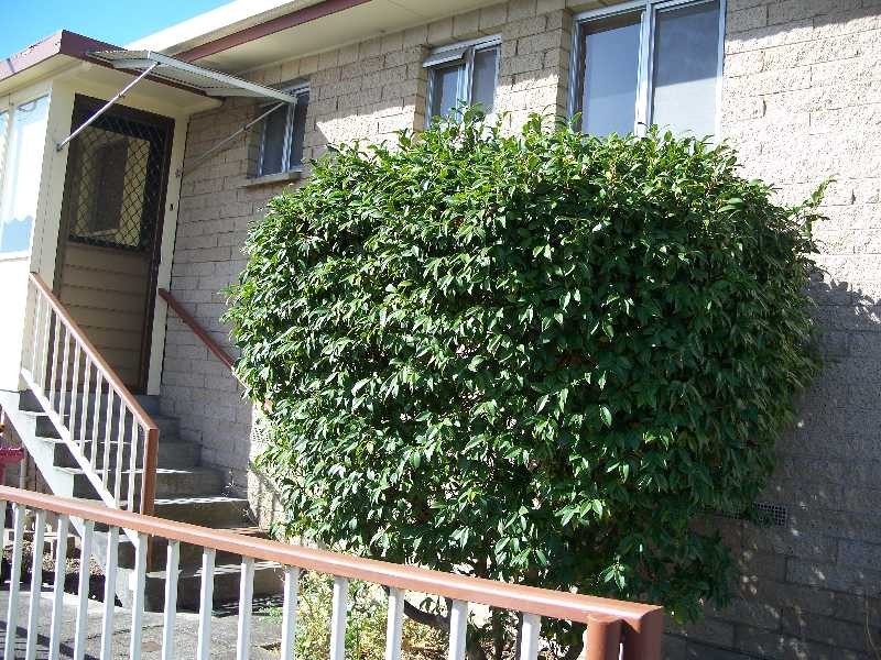 8/10 Chant Street, East Launceston TAS 7250