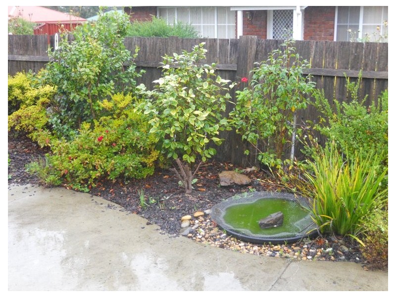 1/10 Walton Street, West Launceston TAS 7250