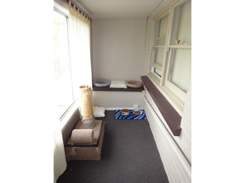 4 Napier Street, Youngtown TAS 7249