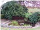 37 Browns Road, Lilydale TAS 7268