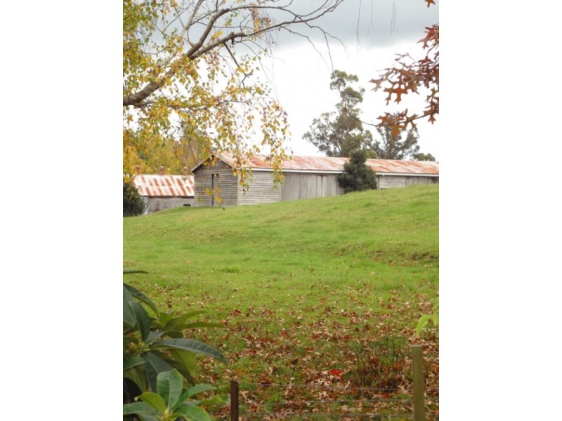 37 Browns Road, Lilydale TAS 7268