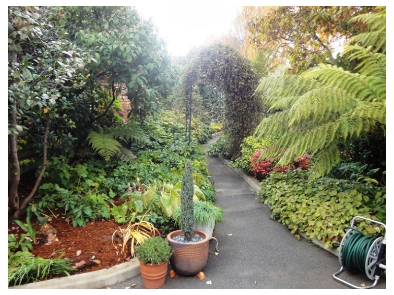 37 Norwood Avenue, Norwood TAS 7250