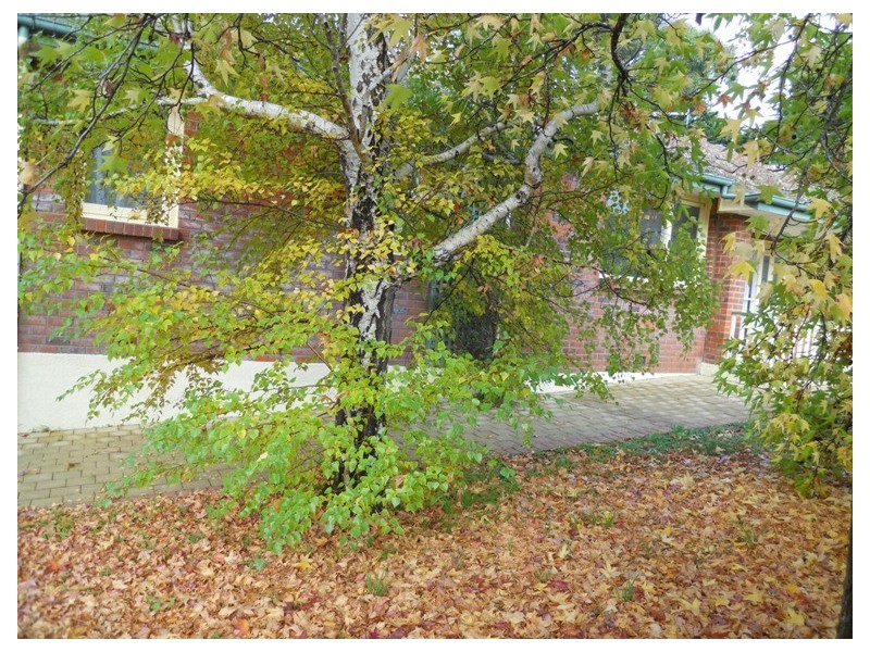 1 Dilston Road, Dilston TAS 7252