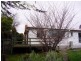 11 Dalkeith Street, Waverley TAS 7250