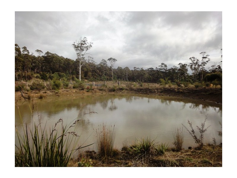 231  Pipers River Road, Turners Marsh TAS 7267