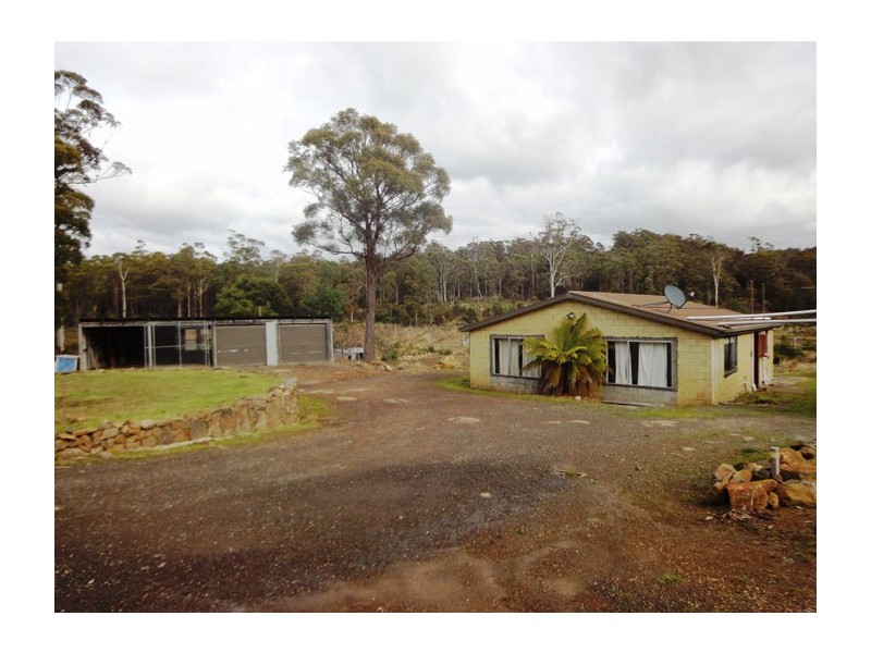 231  Pipers River Road, Turners Marsh TAS 7267