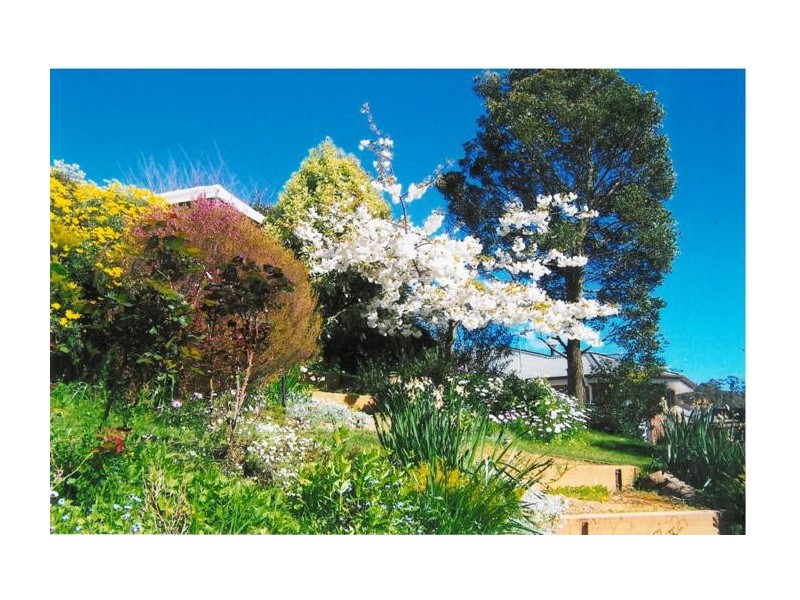 79 Blackstone Road, Blackstone Heights TAS 7250