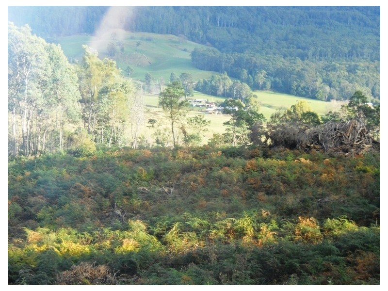 132 Waddles Road, Karoola TAS 7267