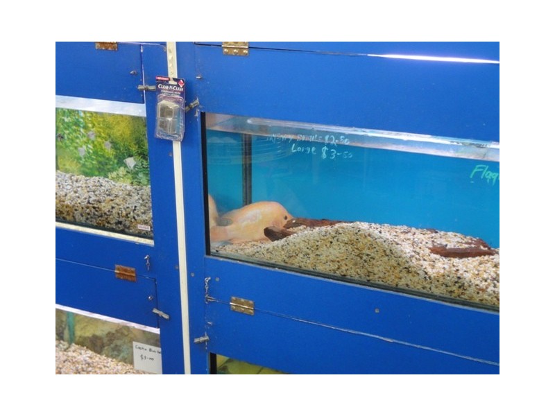 Shop 1/393 Invermay Road, Mowbray TAS 7248