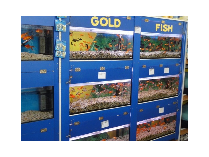 Shop 1/393 Invermay Road, Mowbray TAS 7248