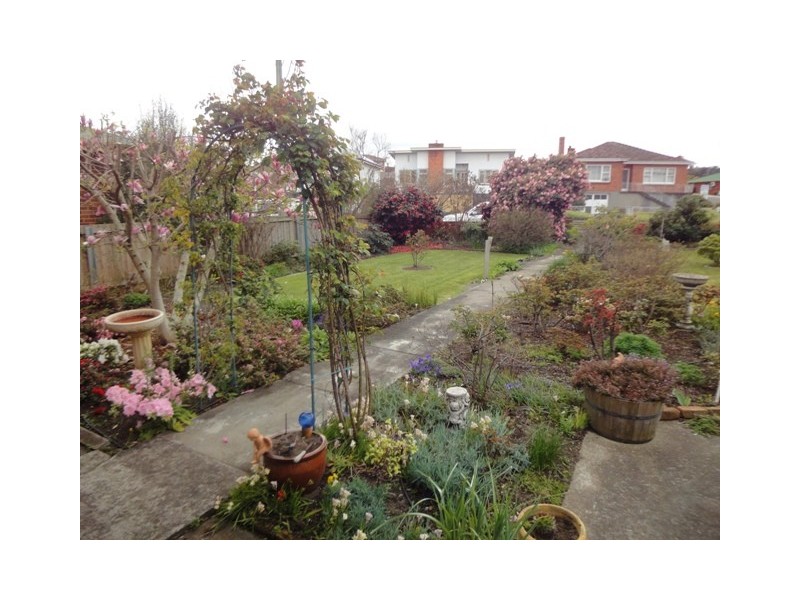 238 St Leonards Road, St Leonards TAS 7250