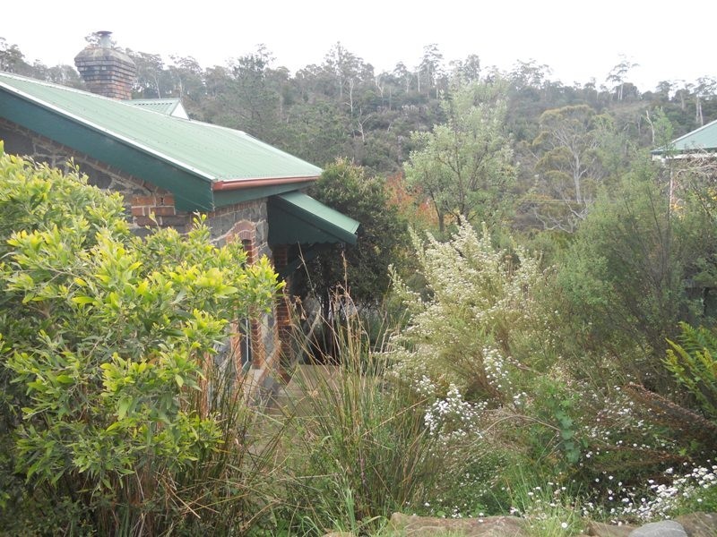 6 Corin Street, West Launceston TAS 7250