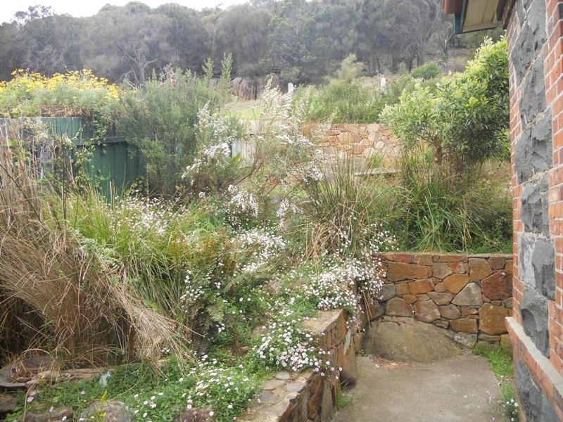 6 Corin Street, West Launceston TAS 7250
