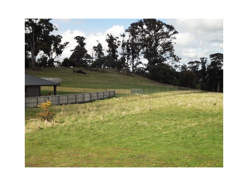 67 Atkinsons Road, Grindelwald TAS 7277