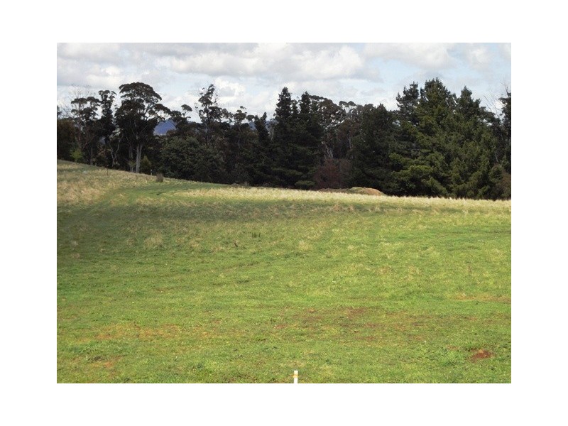 67 Atkinsons Road, Grindelwald TAS 7277