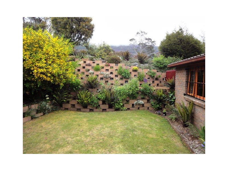 972 Mount Barrow Road, Nunamara TAS 7259