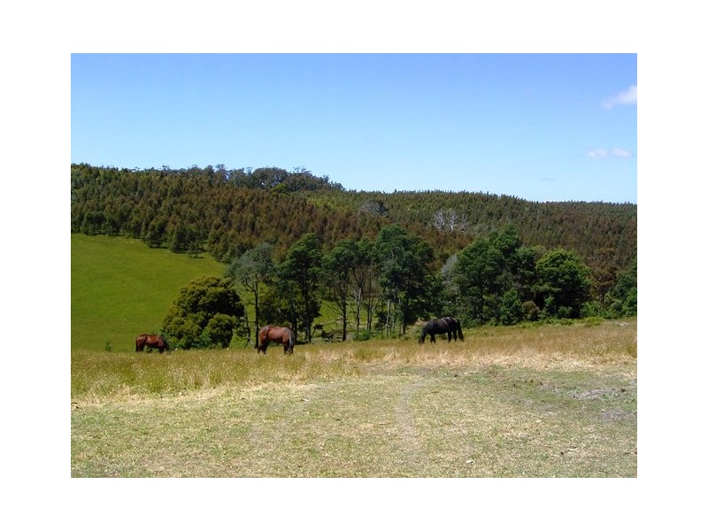 108 Den Road, Pipers River TAS 7252