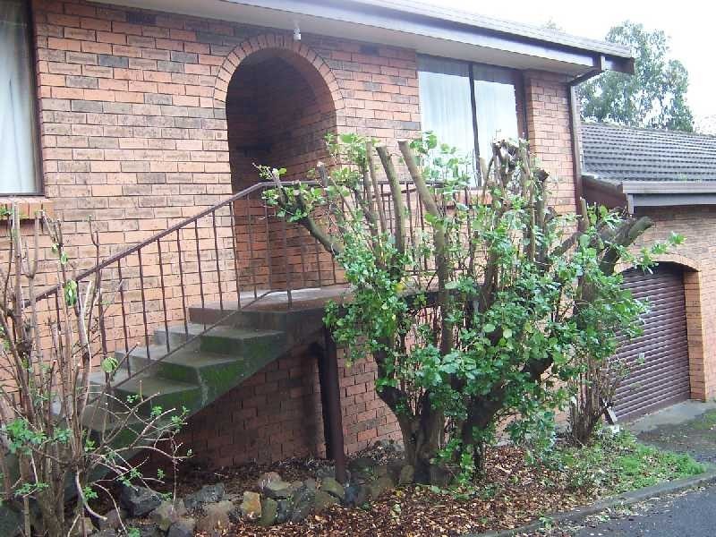 1/4 Connaught Place, West Launceston TAS 7250