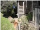 65 West Barrack, Deloraine TAS 7304