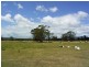 749 The Glen Road, Pipers River TAS 7252
