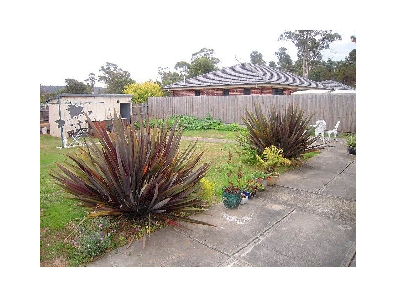 62 Havelock Street, Summerhill TAS 7250