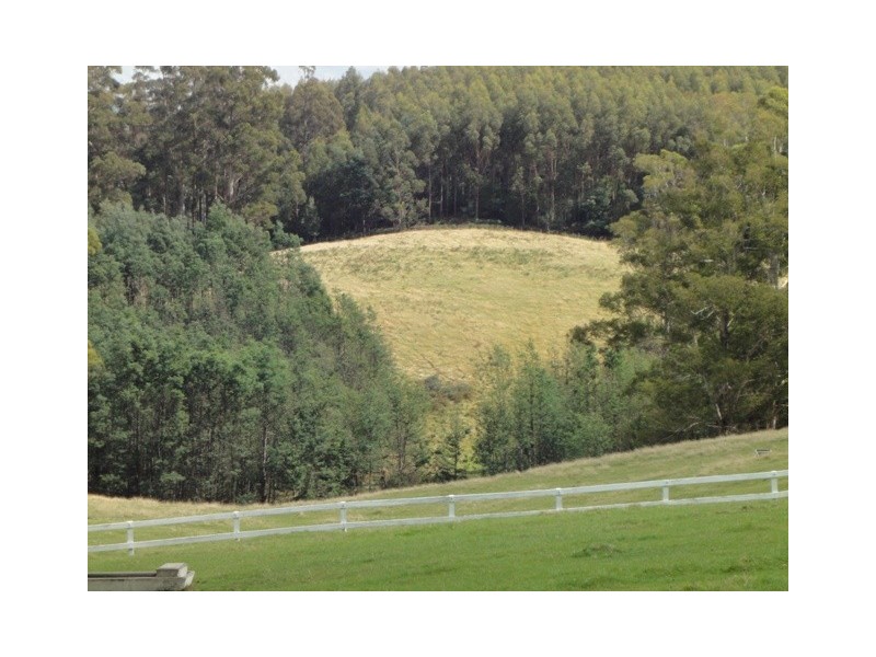Lilydale TAS 7268