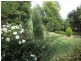 19 Sheridan Court, Summerhill TAS 7250
