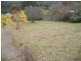 342 Upper York Street, West Launceston TAS 7250