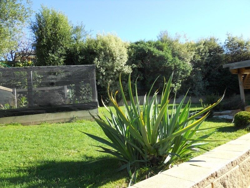 38 Piper Avenue, Youngtown TAS 7249