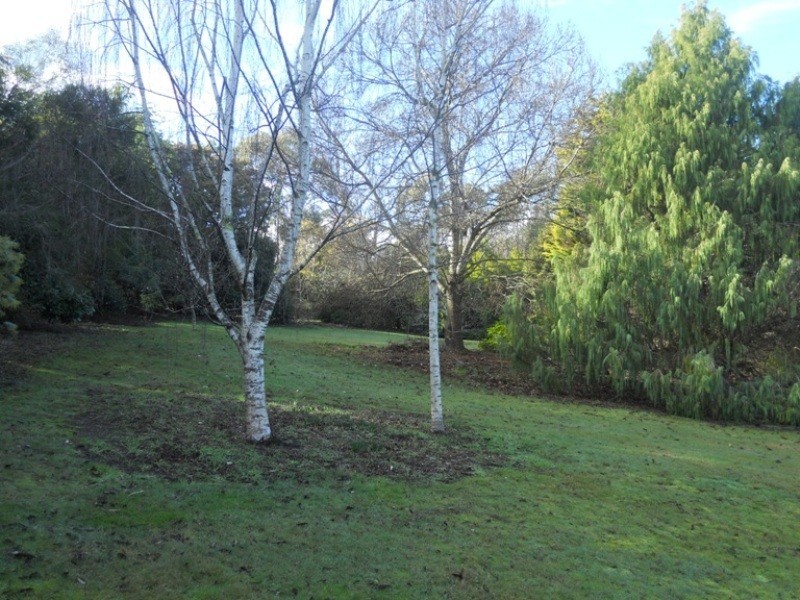 28 Redwood Crescent, Youngtown TAS 7249