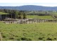 528 Ten Mile Track, Scottsdale TAS 7260