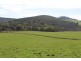 528 Ten Mile Track, Scottsdale TAS 7260
