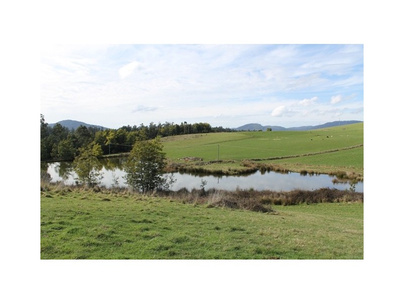 528 Ten Mile Track, Scottsdale TAS 7260
