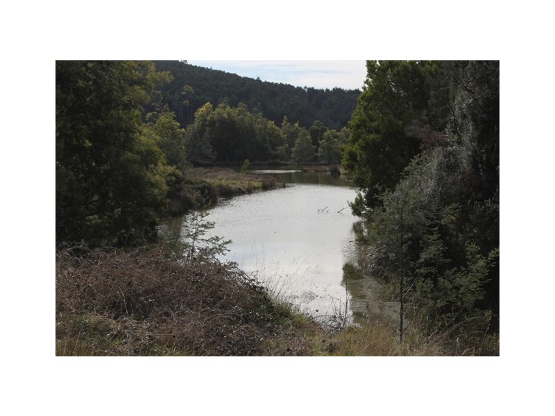 528 Ten Mile Track, Scottsdale TAS 7260