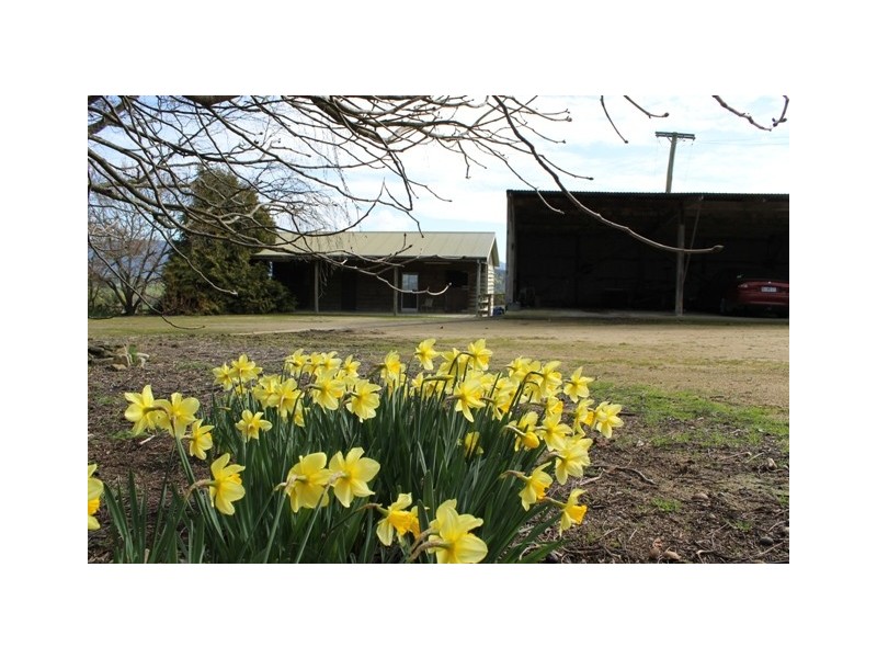 528 Ten Mile Track, Scottsdale TAS 7260