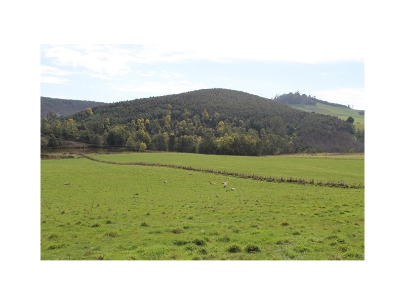 528 Ten Mile Track, Scottsdale TAS 7260