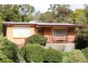 239 Upper York Street, West Launceston TAS 7250