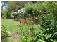 239 Upper York Street, West Launceston TAS 7250