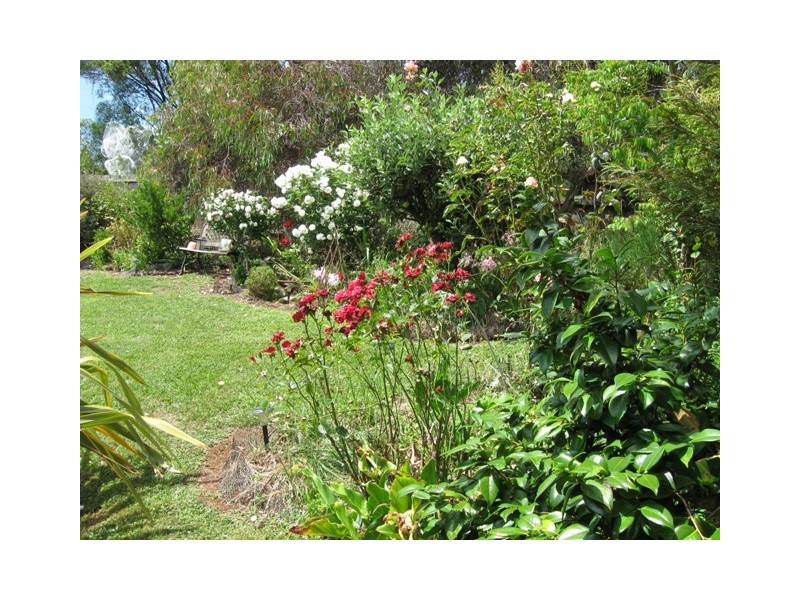 239 Upper York Street, West Launceston TAS 7250