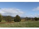31 Hedley Street, Scottsdale TAS 7260